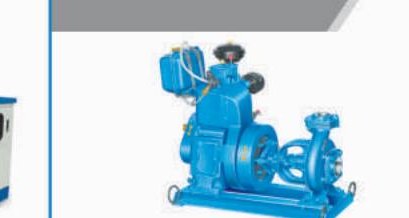 CRI Heavy Duty Engine Pumps