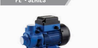 CRI PE Series Peripheral Pumps