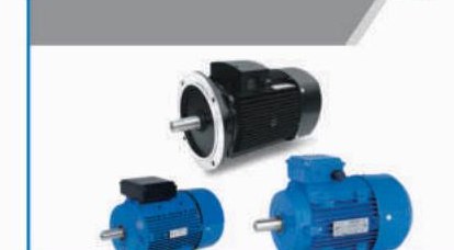 CRI Induction Motors